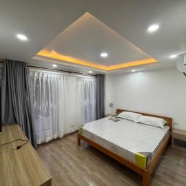 Luxury Apartment, hotel in Godāvari