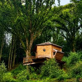 Cabane dans les arbres d'Ineas