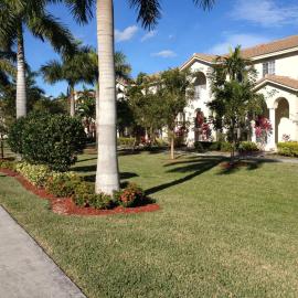 Speedway Blvd Townhouse