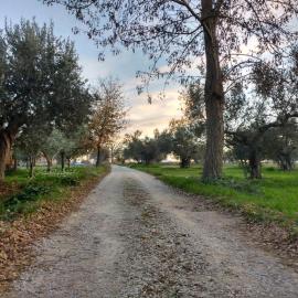 Casale Re di Coppe, hotel u gradu Lančano