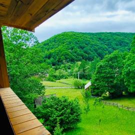 Forest Holliday House Hargita, hotel in Lueta