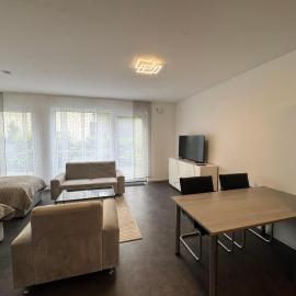Luxuriöse Apartment