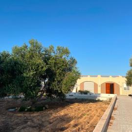 Dar El Baraka, hotel a Ghar el Fabs