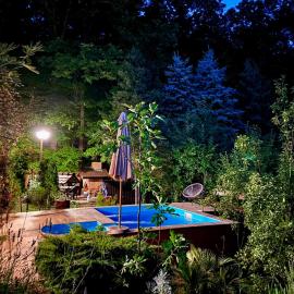 Forest Oasis Slatina, hotel in Slatina