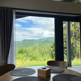 Sviy home