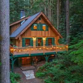 Mt Baker Forest Cabin with BBQ & Firepit Dogs Ok