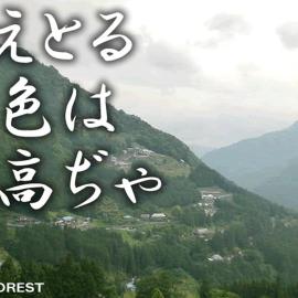 レンタルハウスForest