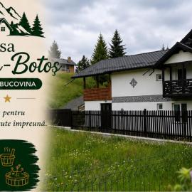 Casa Viorica -Botoș, hotel in Ciocăneşti