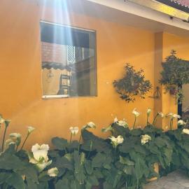 Sacred Valley Boutique Vegan Guesthouse، فندق في Calca