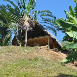 Caveau des Lémuriens – hotel na Nosy Be