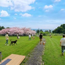 Kunisaki Forest and Sea Dog Resort, hôtel à Kunisaki