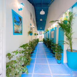 Vllk Resort Near Arambol Beach North Goa, hotelli kohteessa Arambol