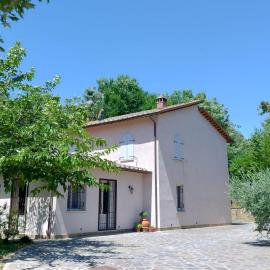Villa Montepulciano Vineyard