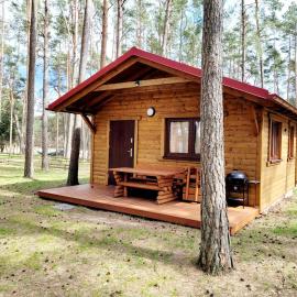DoBorowy domek nad brzegiem jeziora Wdzydzkiego Kaszuby
