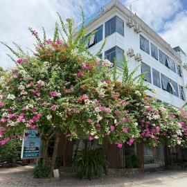 ld housing 9, hotel u gradu Ðống Thôn