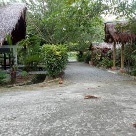 Magpie homestay & jungle trekking especially for guest trekking with us, hotel in Bukit Lawang
