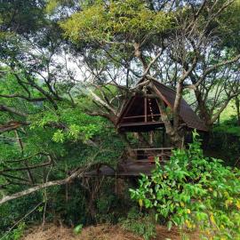 Yambaru Wild Treehouse Kidzy, hotel en Takee