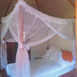 Nature escape safari lodge