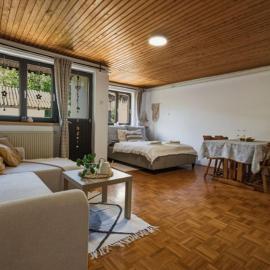 Apartment Vineyard nook Lendava, hotell sihtkohas Lendava