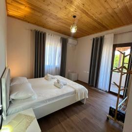 Vila Ermer - Castle View & Traditional Breakfast, Hotel in Velabisht