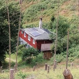 Waldhütte