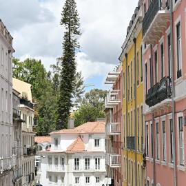 Hotel Principe Real
