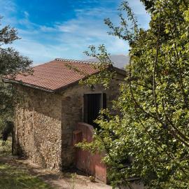 Agriturismo azienda agraria Ippogrifo