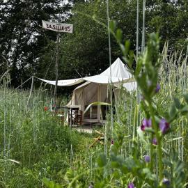 Eco glamping tent 'Basilikus'