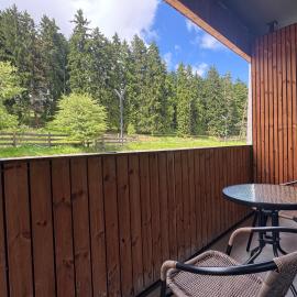 Experience the Best of Bakuriani at Kokhta-Mitarbi Resort