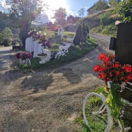 Pensiunea Cabana Viselor ,Apuseni, hotel in Vadu Moţilor