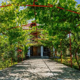guest hause "villa" – hotel w mieście Dushetʼi