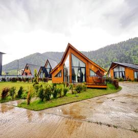 Cottage Liantto, khách sạn ở Borjomi