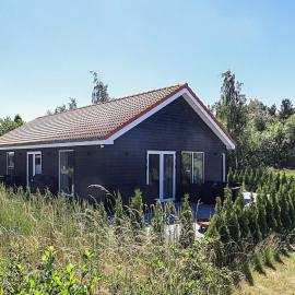 5 star holiday home in Væggerløse