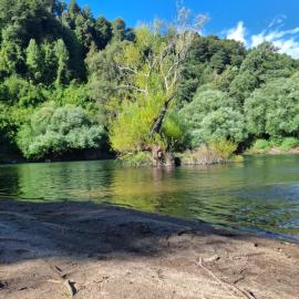 El remanzo del río, hotell i Curarrehue