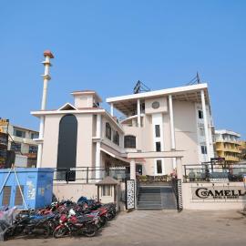 Camellia Hotel & Resorts