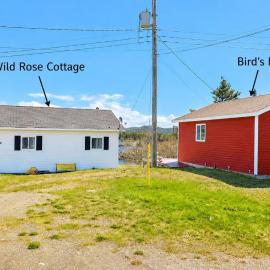 The Wild Rose Cottage & Bird's Nest, hotel di Twillingate