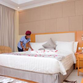 Diamond Luxury Hotel plc, ξενοδοχείο σε Desē