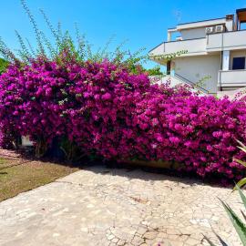 Appartamento in villa, hotel in Ginosa Marina