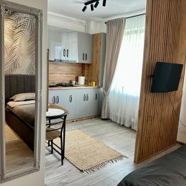 Sofia Residence Studio Cetate