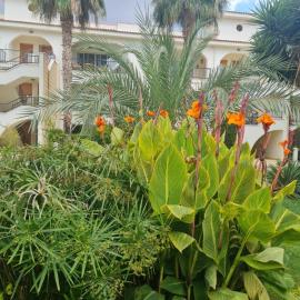 Sunrise Beach Club Coastal Apt- seaside & Pool, hotel a Strovolos