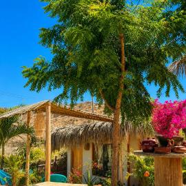 El Cottage de Vasco, hotel in Canoas