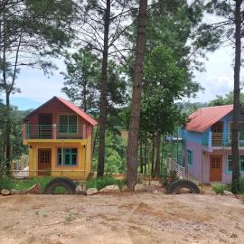 Rimaaia homestay mawlai bypass Shillong, hotel in Shillong