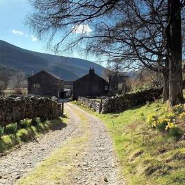 Low Gillerthwaite, hotel di Buttermere
