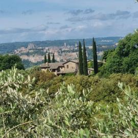 Tra gli ulivi e il panorama, хотел в Орвието