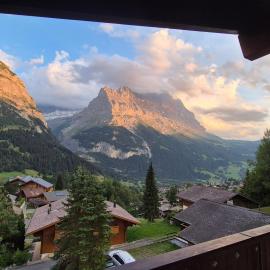 ABO - Boutique Apartment - Chalet Horst, Hotel in Grindelwald