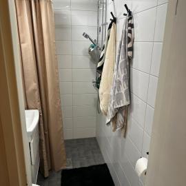 Kotikolo