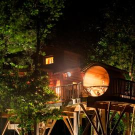 Cabane du Bois des Nauzes, hotel in Seyches
