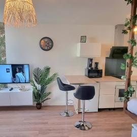 New jungle studio cœur de ville, Hotel in Pont-à-Mousson