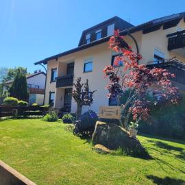 Ferienhaus Esther Wohnung Wildrose, Hotel in Dietersweiler