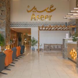 شقق وسن الفندقية, hotel in Abha